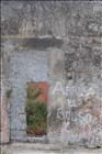 39 Colonia